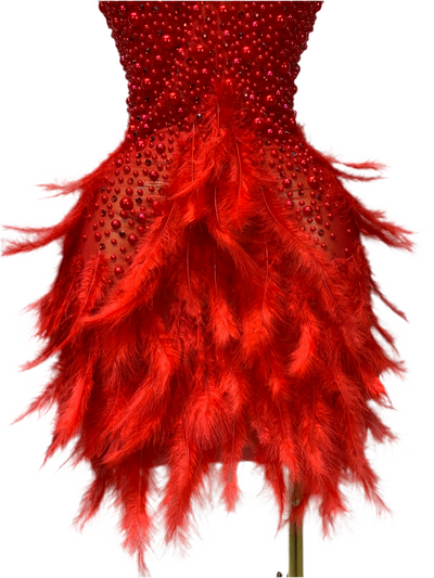 Pearl & Feather Glam Mini Dress