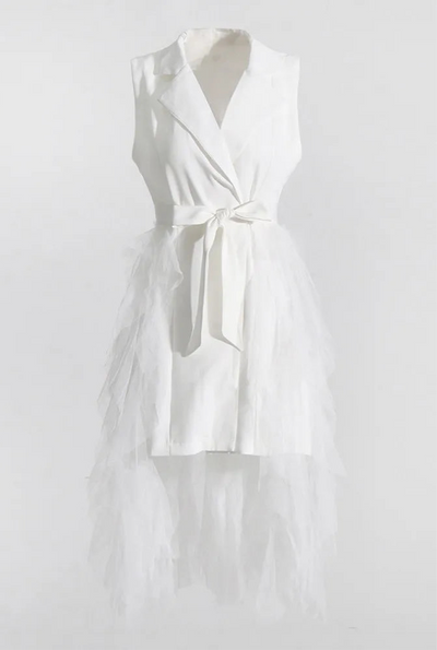 Tyla Notched Collar Sleeveless High Waist Patchwork Mesh Dress