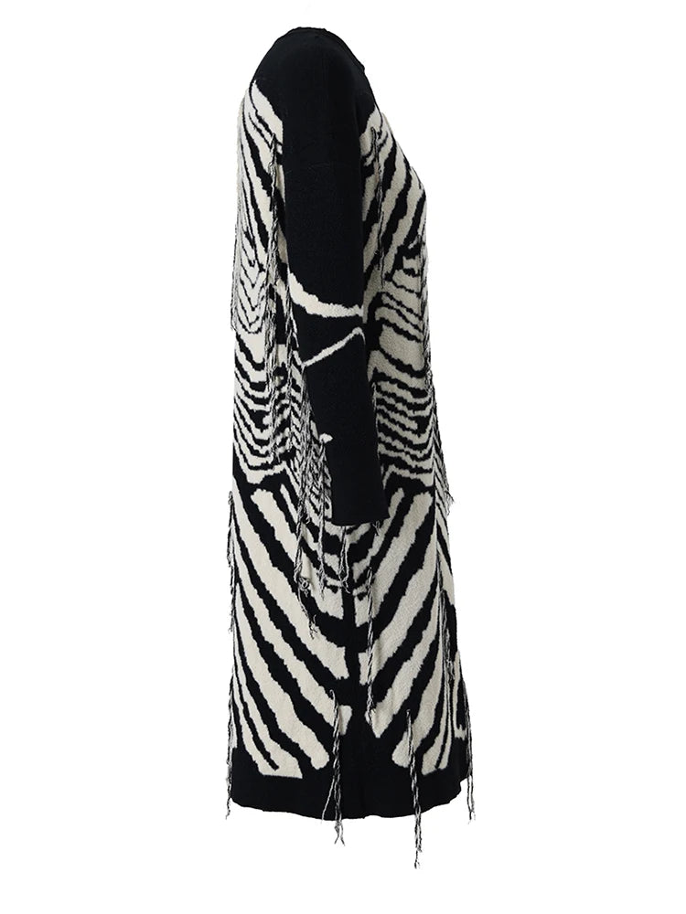 Zebra Print One Sleeve Tassel Knitted Sweater