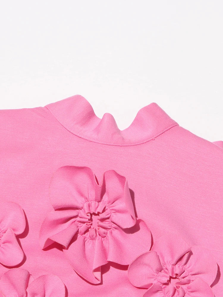 3D Floral Appliqué Sleeveless Dress