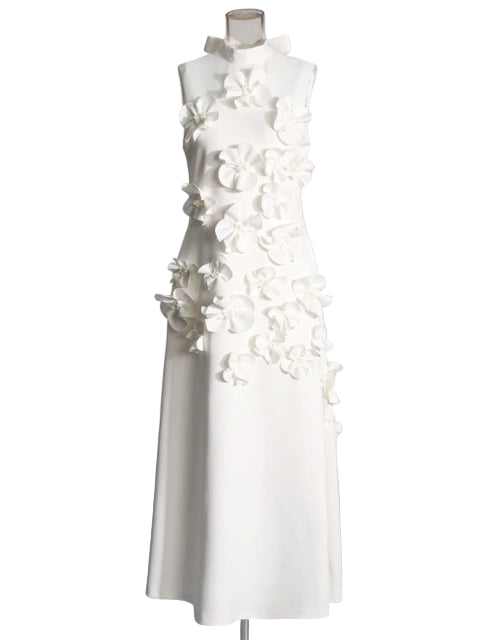 3D Floral Appliqué Sleeveless Maxi Dress